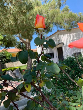 Villa Fiori giardino, 400 m. mare con parcheggio